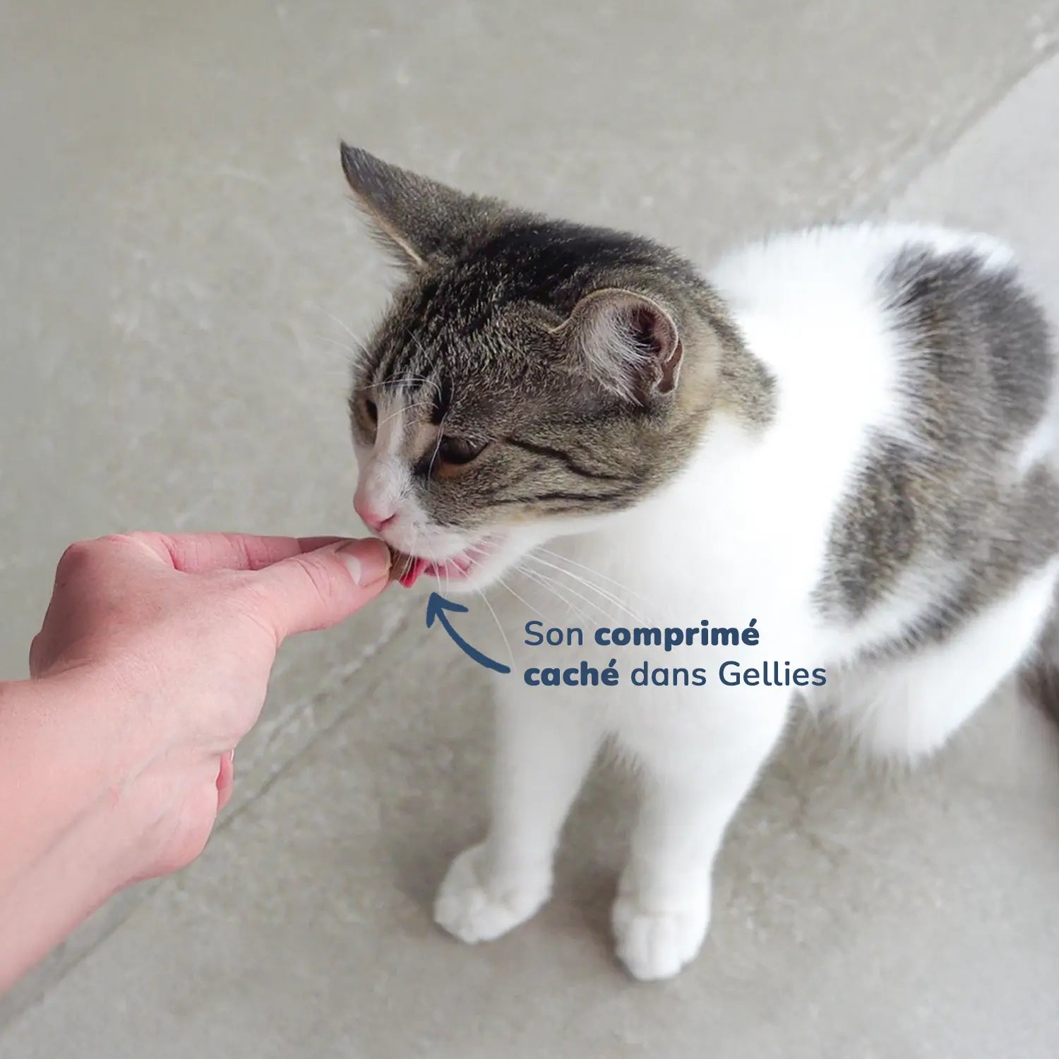 Gellies - Pâte cache-comprimé Poulet & Herbe à Chat