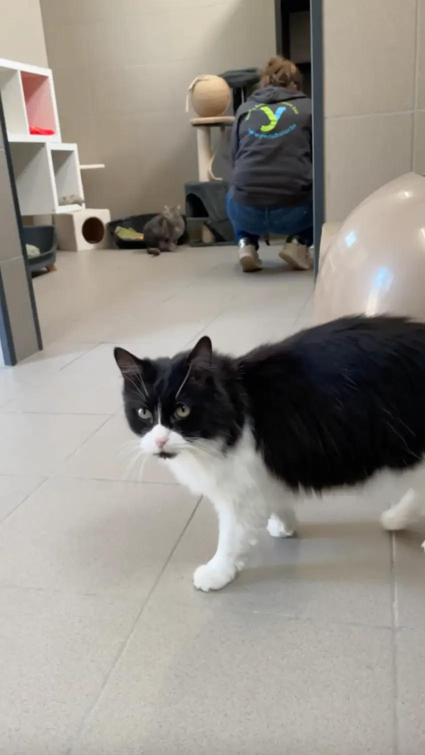 Tests d'appétence à la Croix Bleue