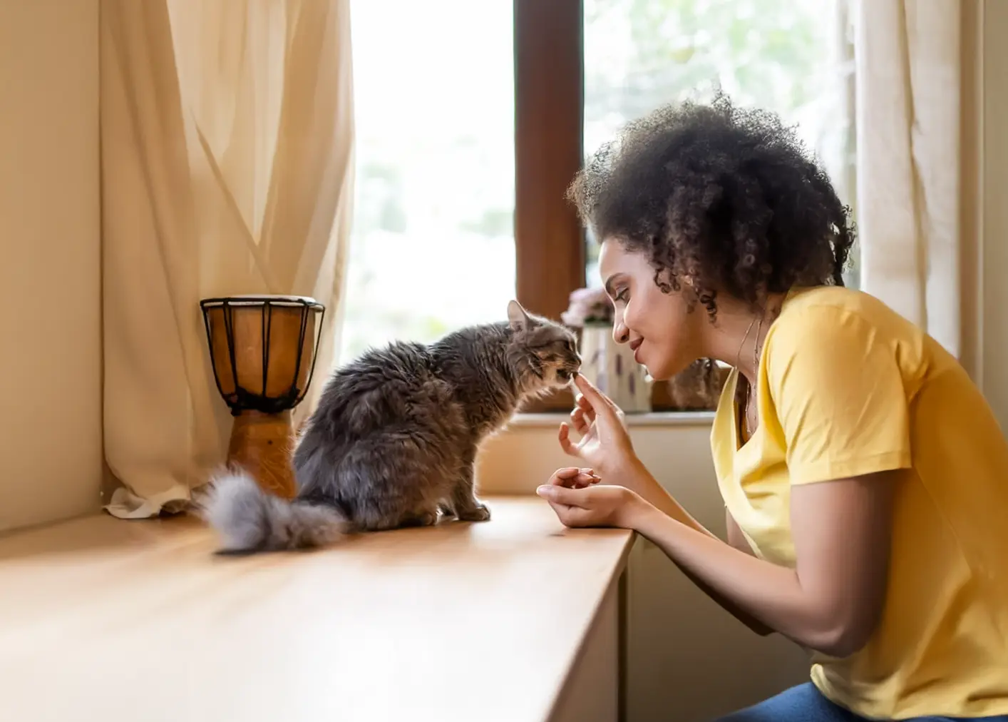Chat avec sa famille